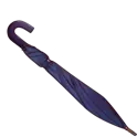 Umbrella.webp