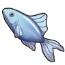 Fish.webp
