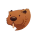 Bob contact icon.webp