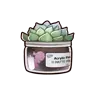 Cactus in a pot.webp