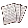 Chopin music score.webp