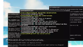 Thumbnail for version as of 22:49, 15 August 2026