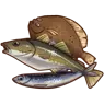 Fishes.webp