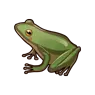 Frog.webp
